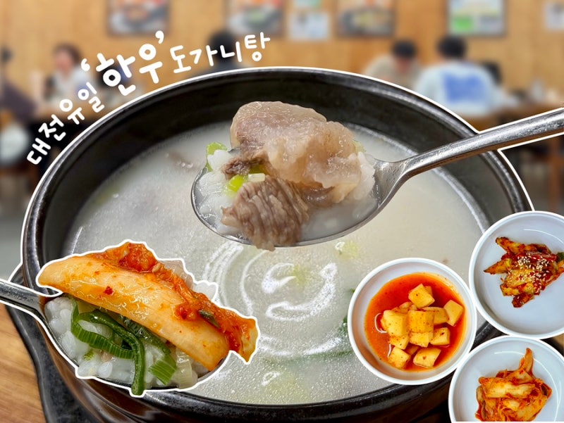 대전곰탕맛집 둔산동 식당 인생곰탕에서 한우도가니탕으로 몸보신