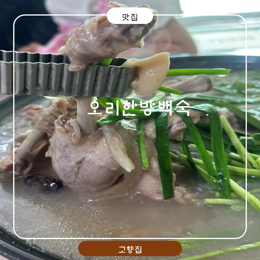 고향집 사진 1