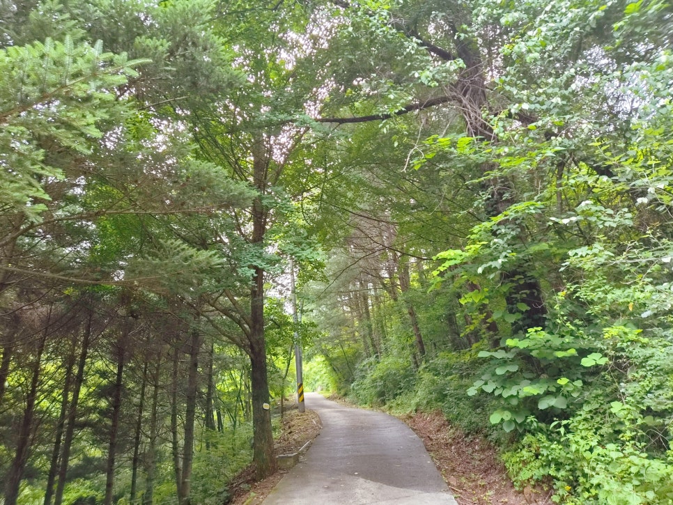 명지산군립공원 사진 4