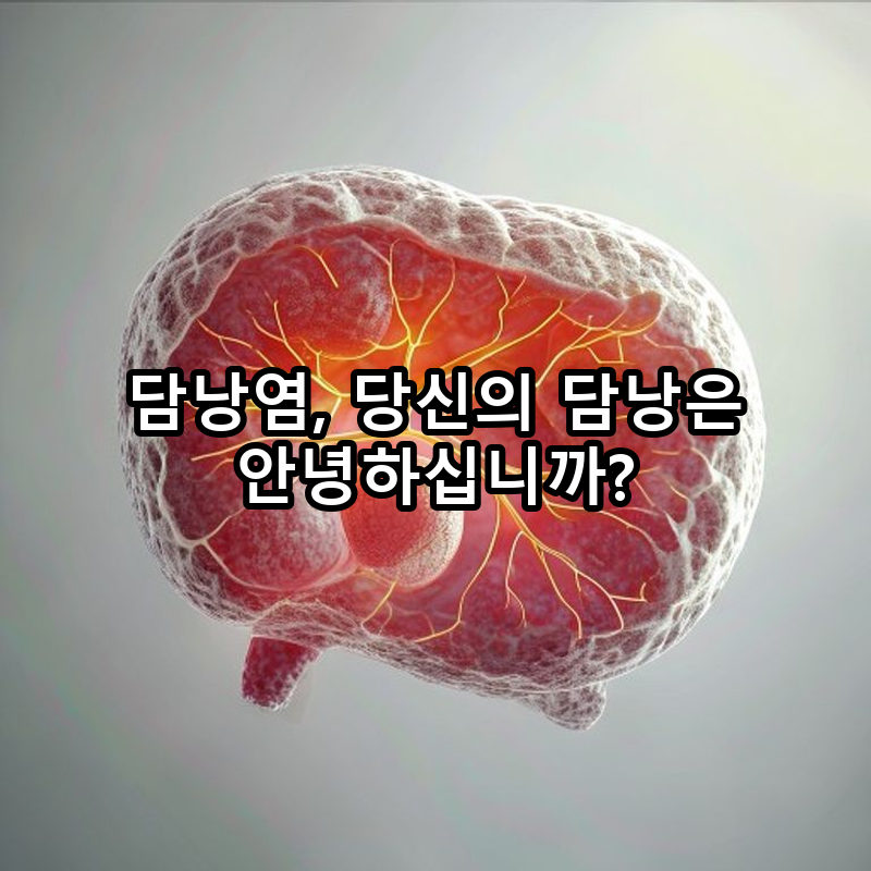 담낭염증상