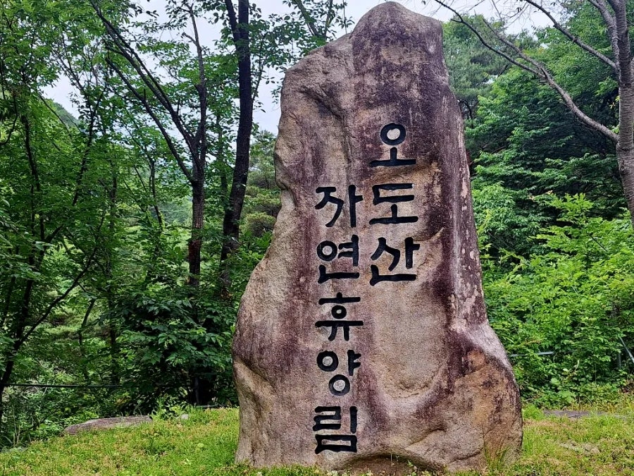 오도산 치유의숲 사진 1