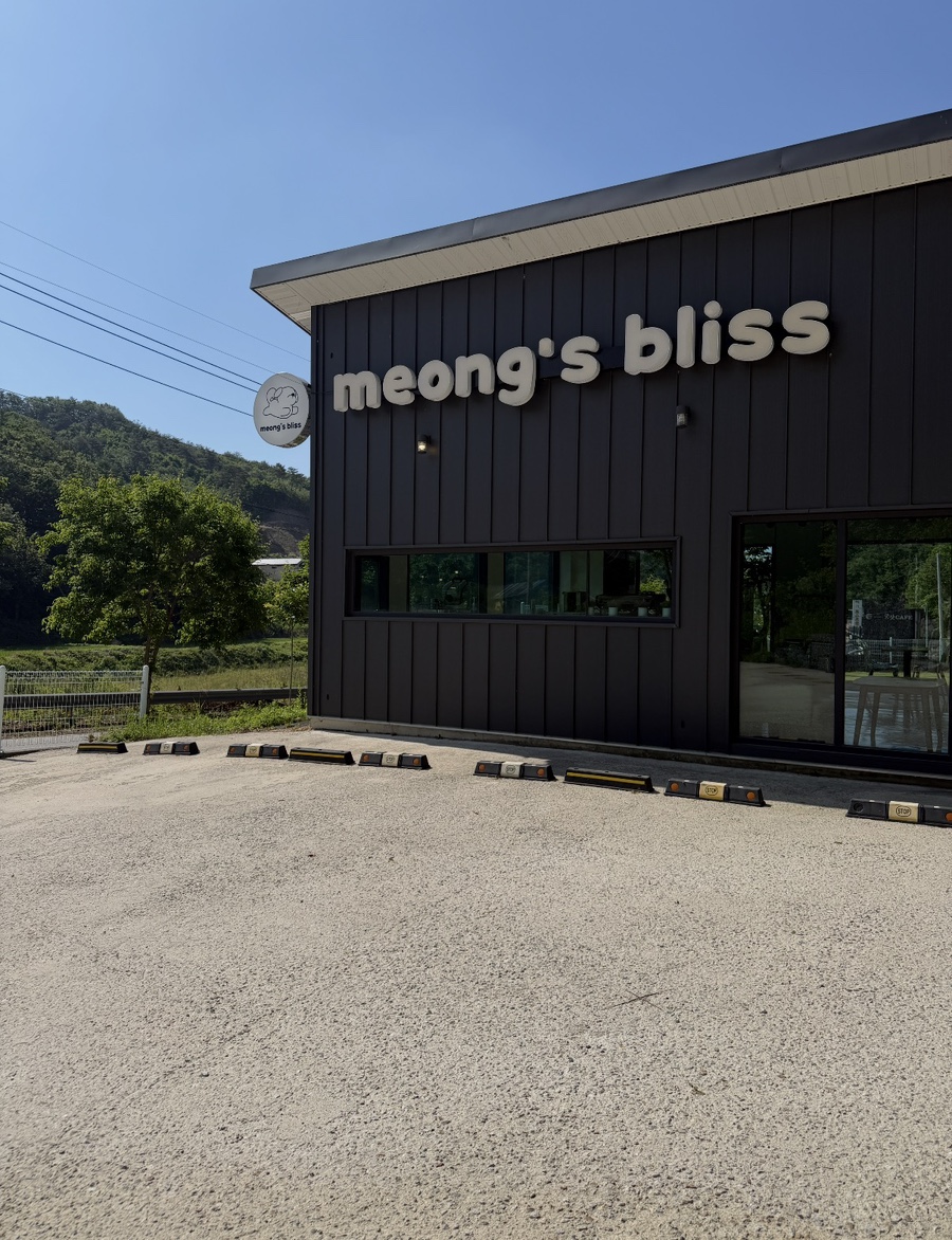 멍스블리스 사진 1