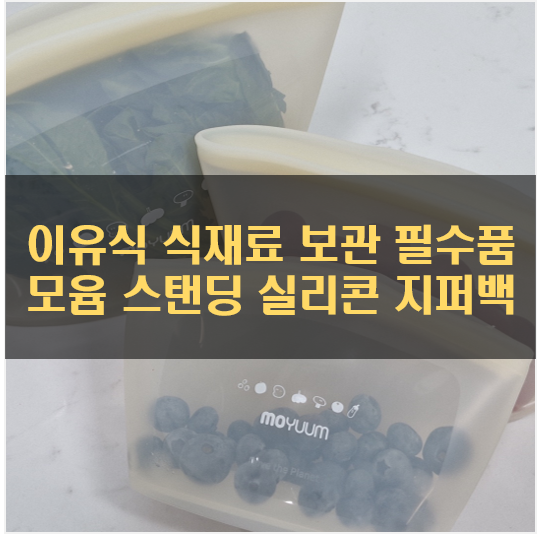 초기 이유식 준비할 때, 모윰 스탠딩실리콘 지퍼백