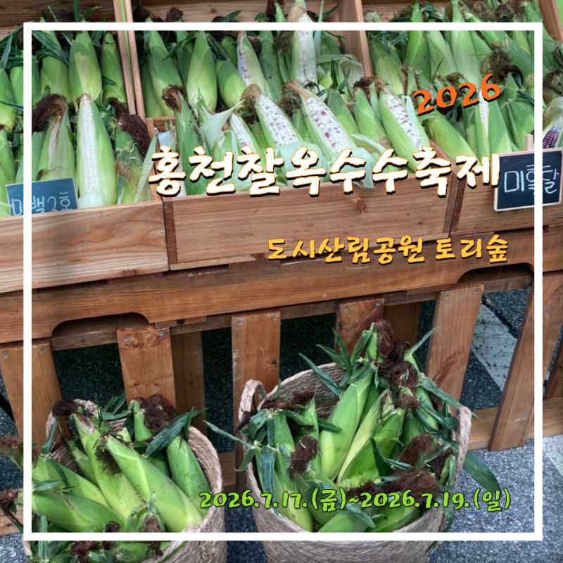 2026 홍천 찰옥수수축제 기본정보 프로그램 가이드