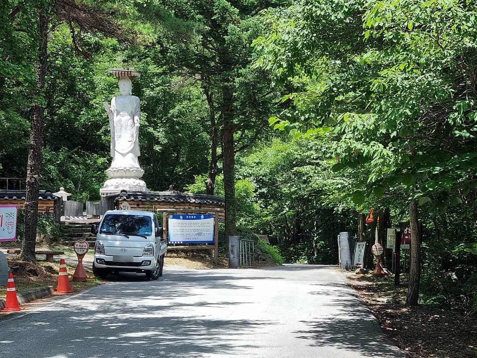 상원계곡 사진 6