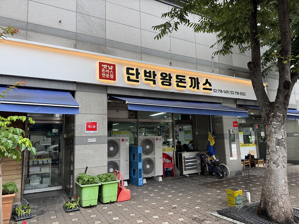 단박왕돈까스 사진 2