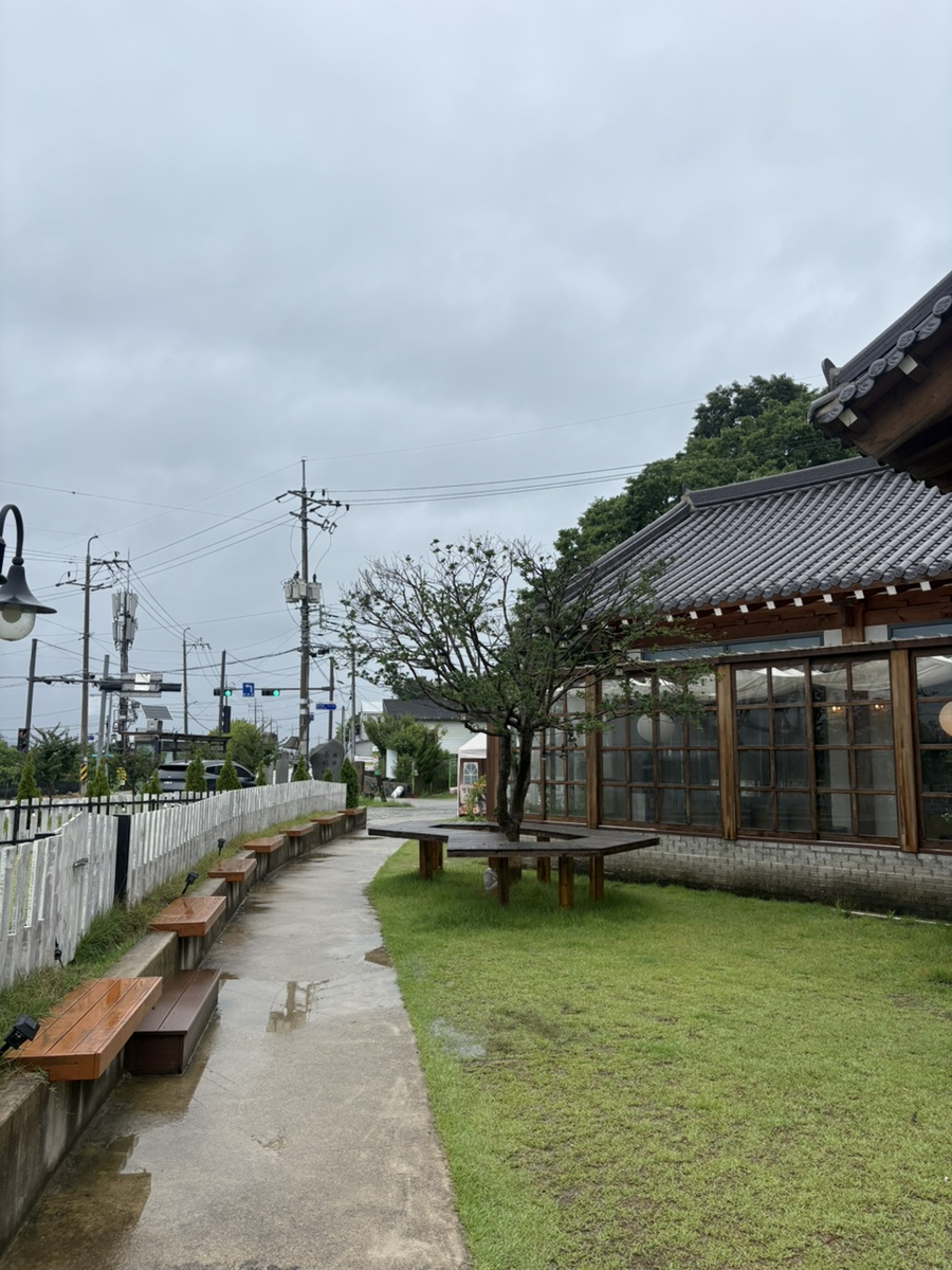 밀밀 사진 4