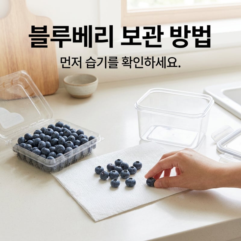 블루베리 냉장고에 넣었는데 곰팡이 생기는 집, 물기부터 확인하세요