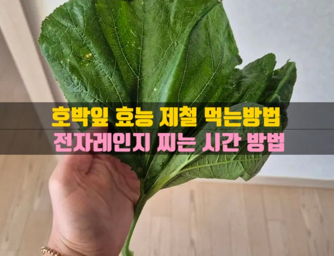 호박잎 효능 9가지 제철 먹는방법 손질방법 전자레인지 시간 찌는 법 완벽 정리
