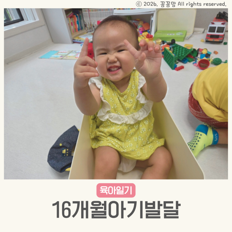16개월아기발달 특징 언어 키 몸무게