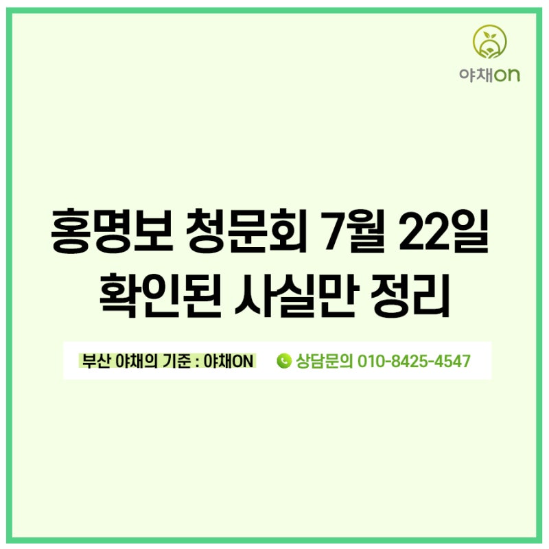 홍명보 사퇴부터 국회 청문회까지 타임라인 총정리