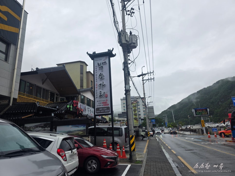 박쏘가리 사진 2