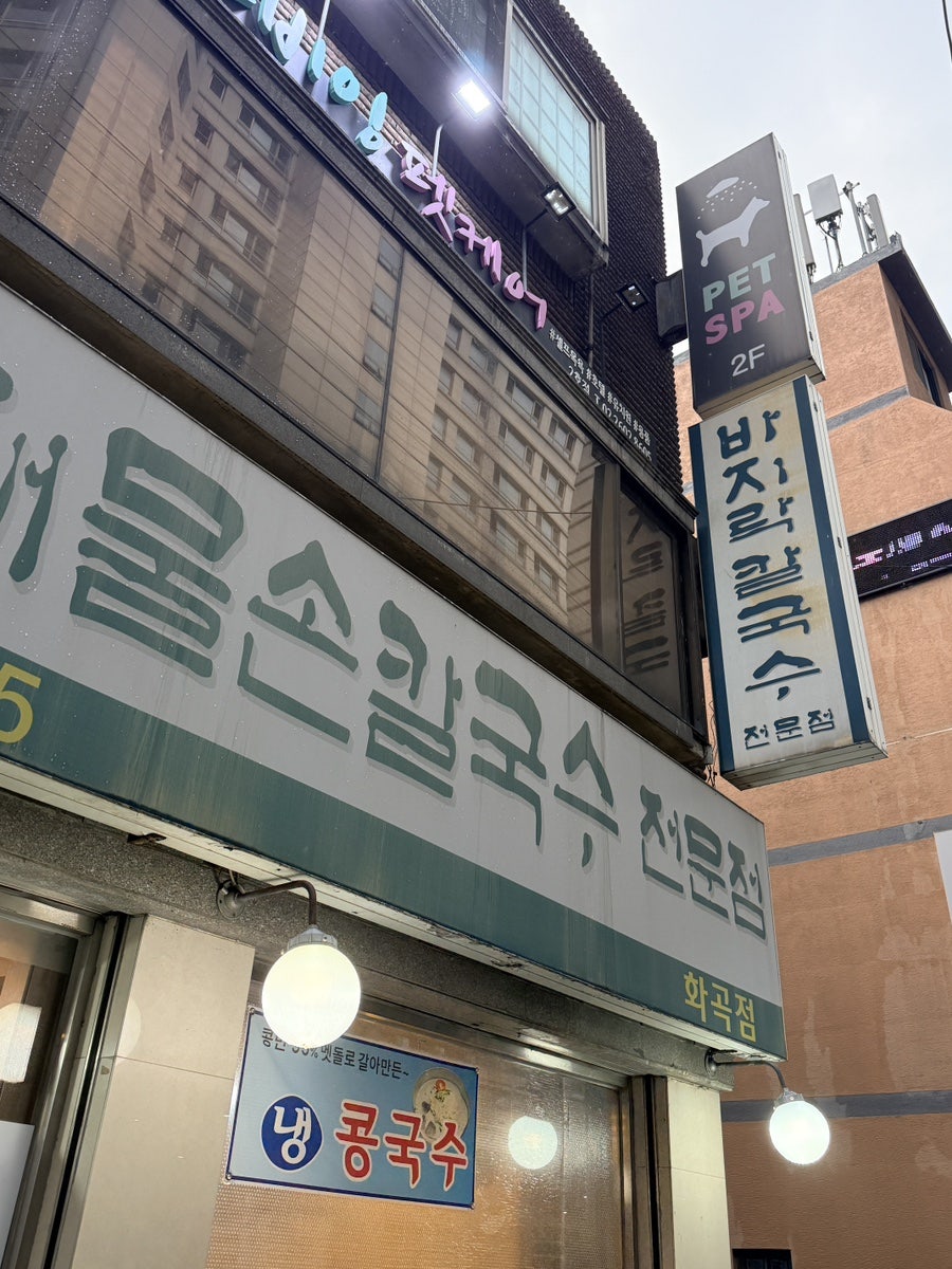 솔향기해물손칼국수 화곡점 사진 2