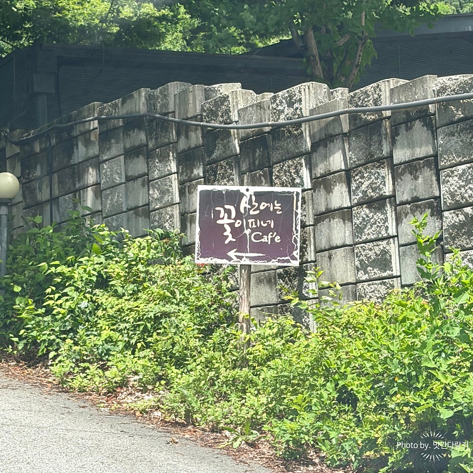 산에는 꽃이피네 사진 2