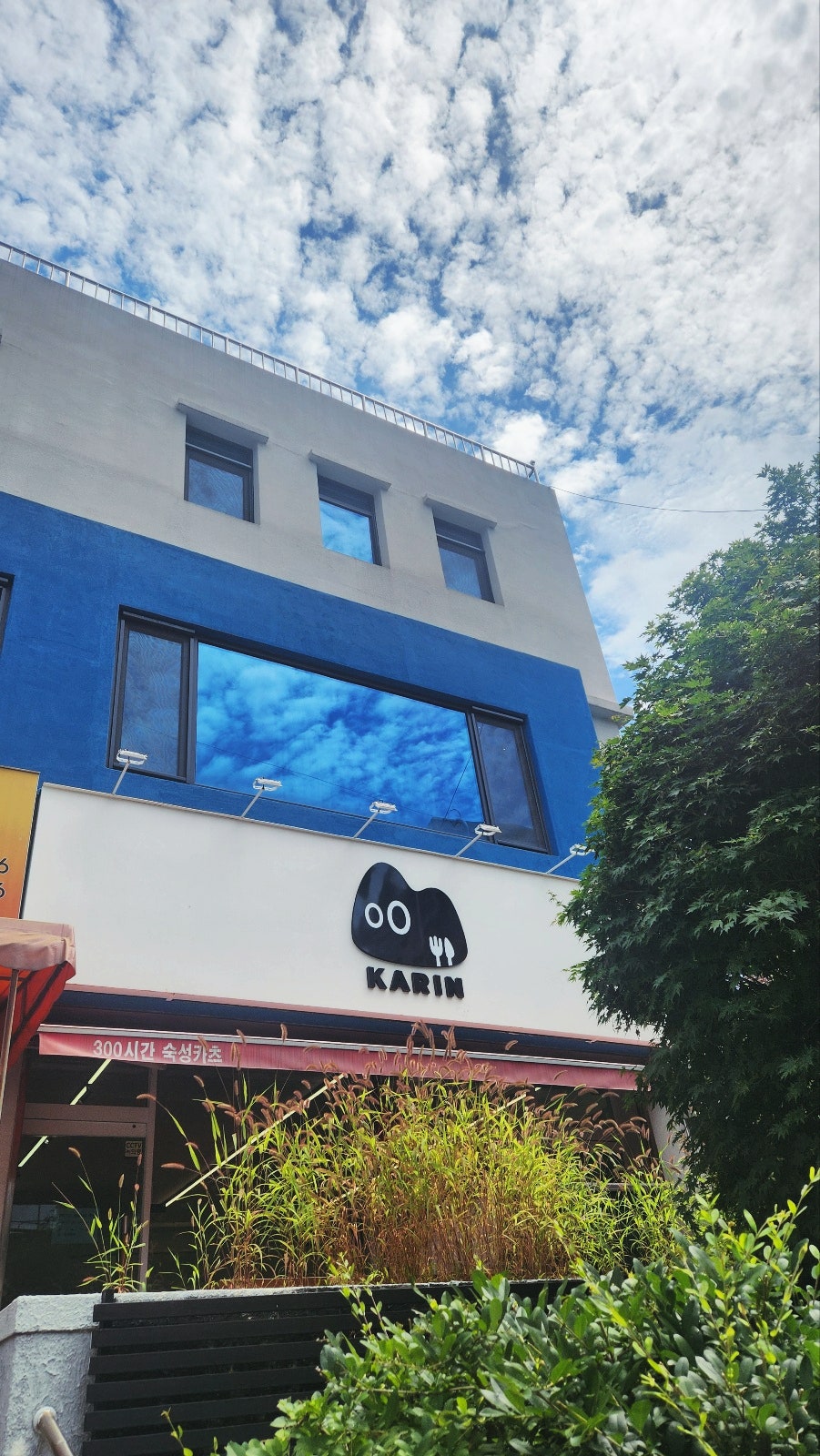 카린 사진 3