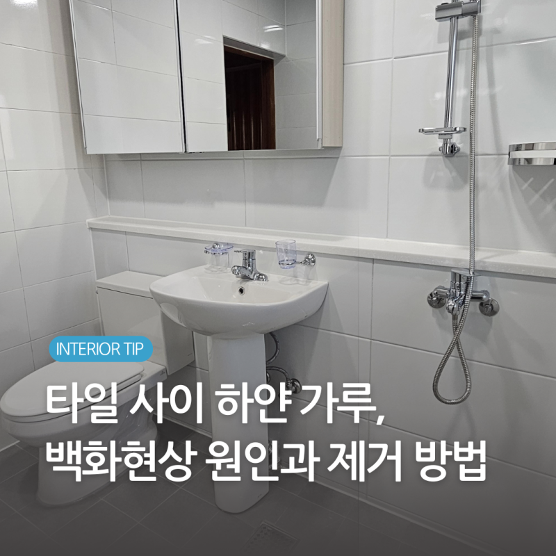화장실 타일 백화현상 원인과 제거법, 곰팡이와 어떻게 다를까요?