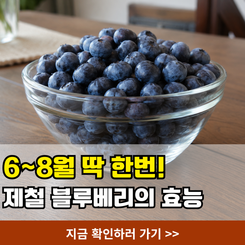 생블루베리 보관법 3가지와 건조기태그정리 활용법 및 효능 부작용