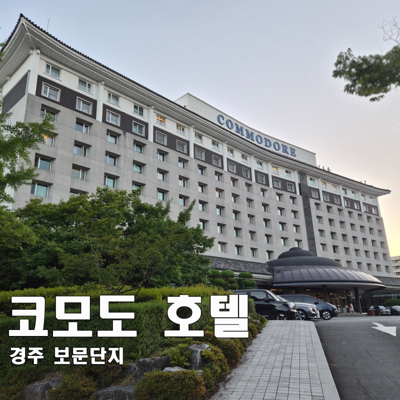 [경주] 보문단지 근처 가성비 4성급 코모도 호텔과 야외 수영장 후기