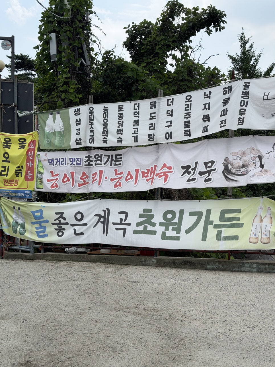 초원가든 사진 3