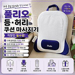직장인 필수템 풀리오 등·허리 쿠션 마사지기 내돈내산 사용 후기