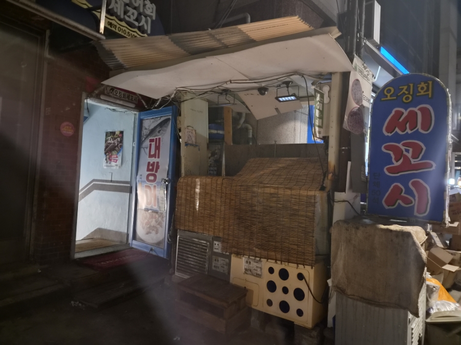 산오징어 사진 3