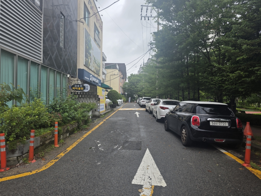 네츠이 사진 3