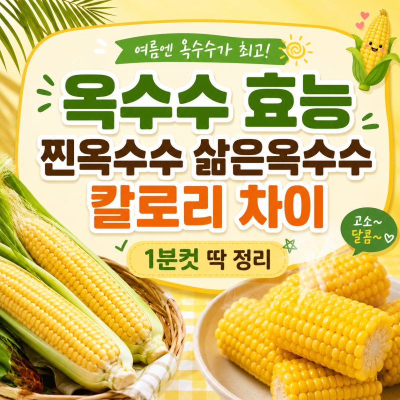 옥수수 효능 찐옥수수 삶은옥수수 칼로리 차이 1분컷 딱 정리