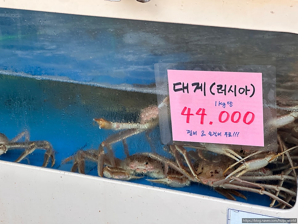 서영회센터 사진 3