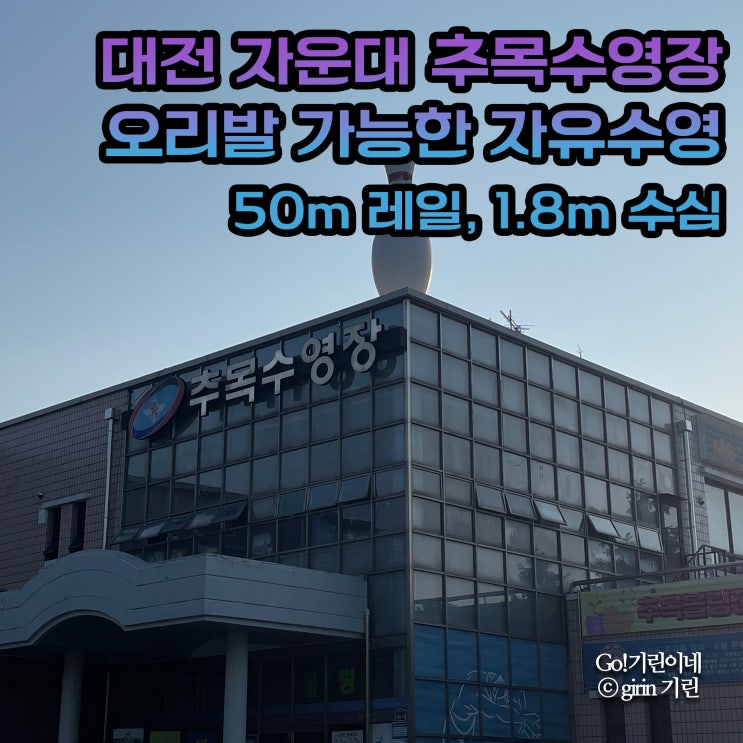 <b>대전 자운대</b> 추목수영장 오리발 가능한 자유수영. 50m 레일... 