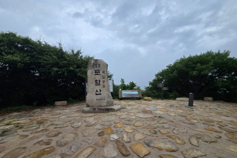 [경주 가볼만한곳] 토함산 최단코스 석굴암 주차장에서 정상까지 초보 등산 코스