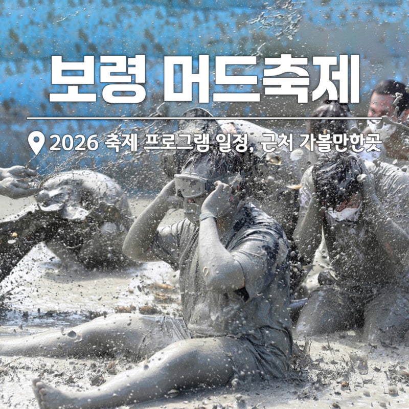 "세계가 주목" 보령 머드축제 2026 일정 프로그램 공연, 추천 가볼만한곳