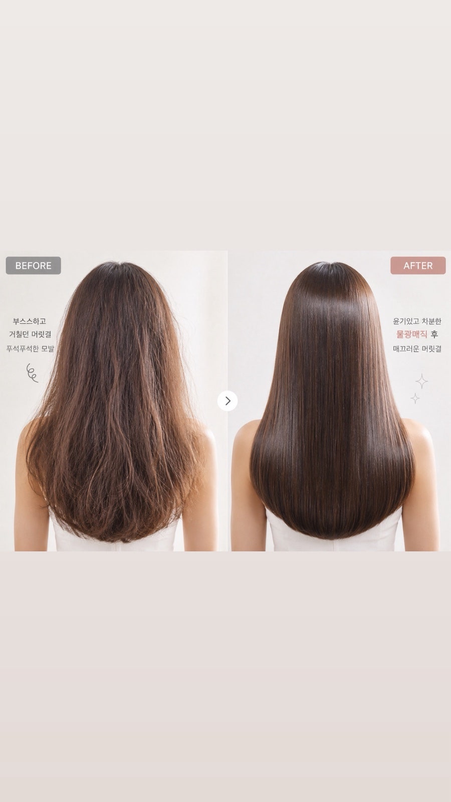 단비 사진 2