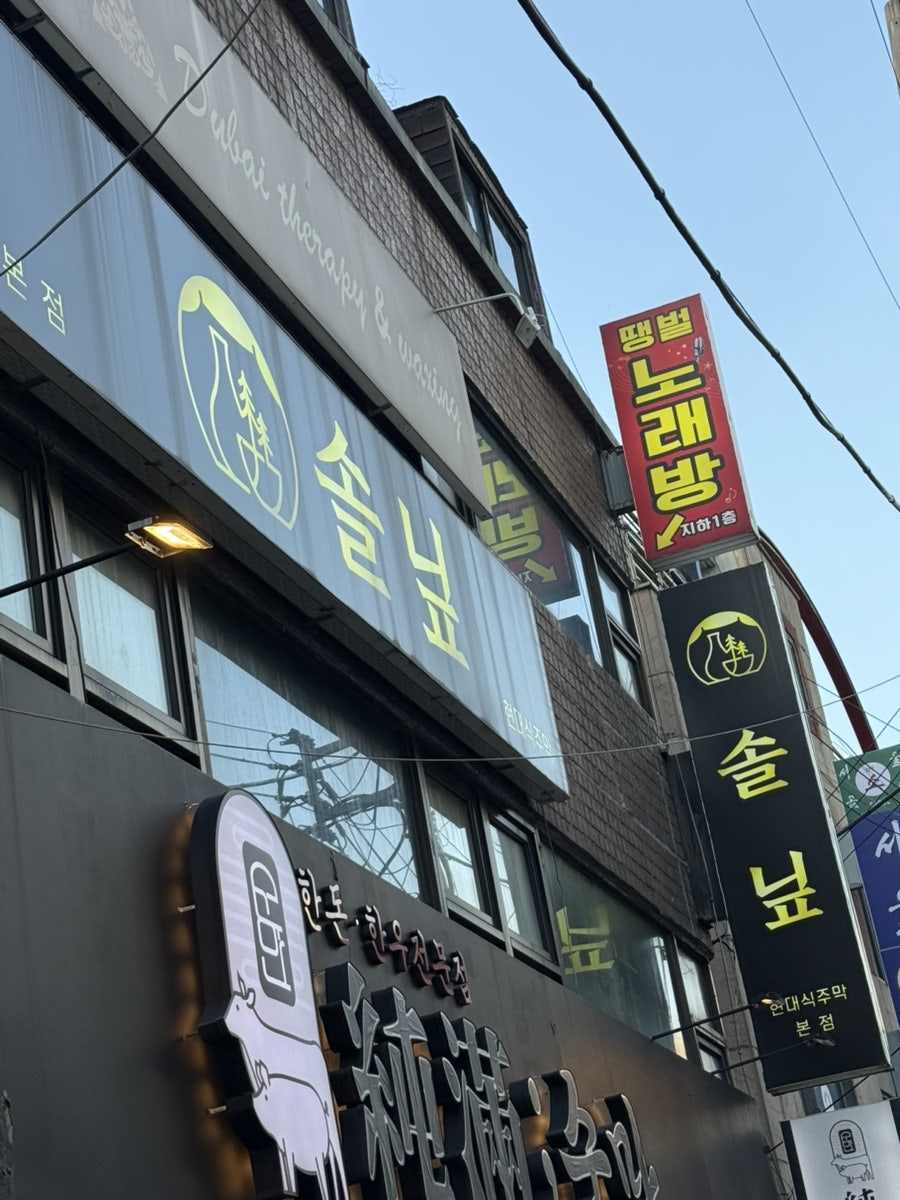 솔닢 사진 1