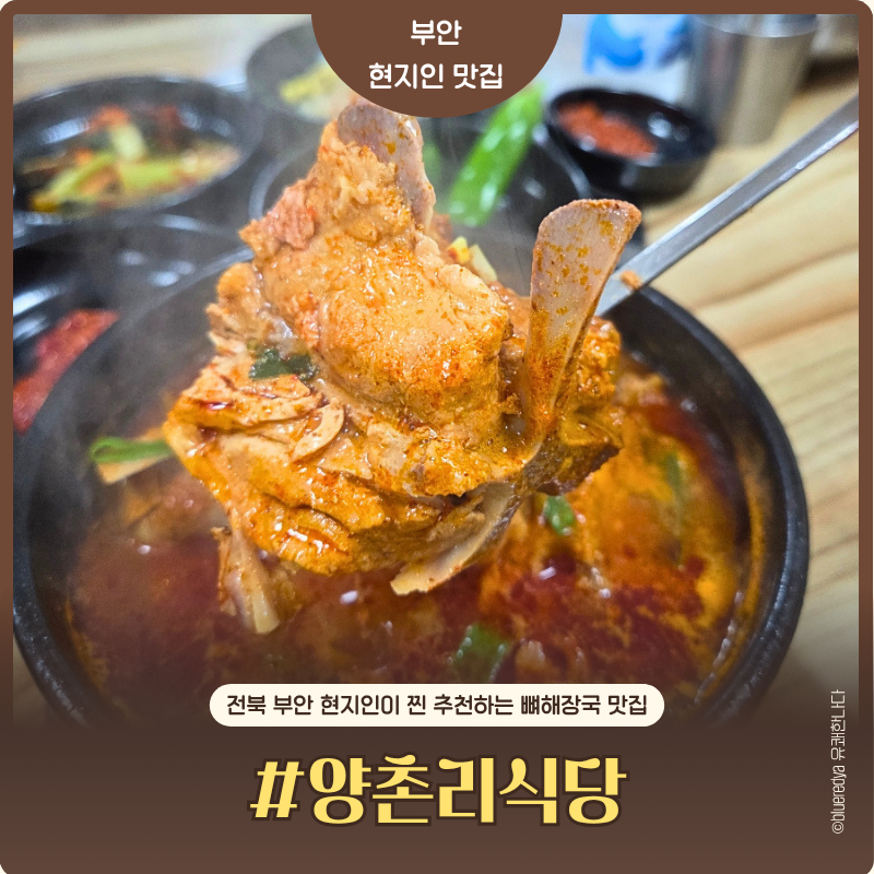 양촌리식당 사진 1