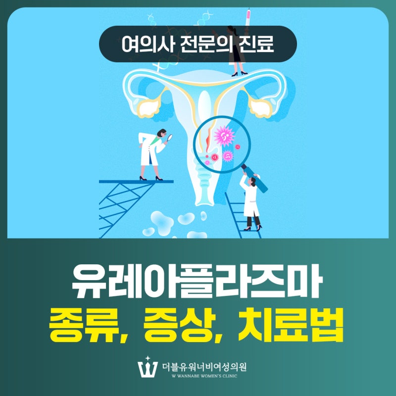 병점여의사산부인과 유레아플라즈마 종류, 증상, 치료법