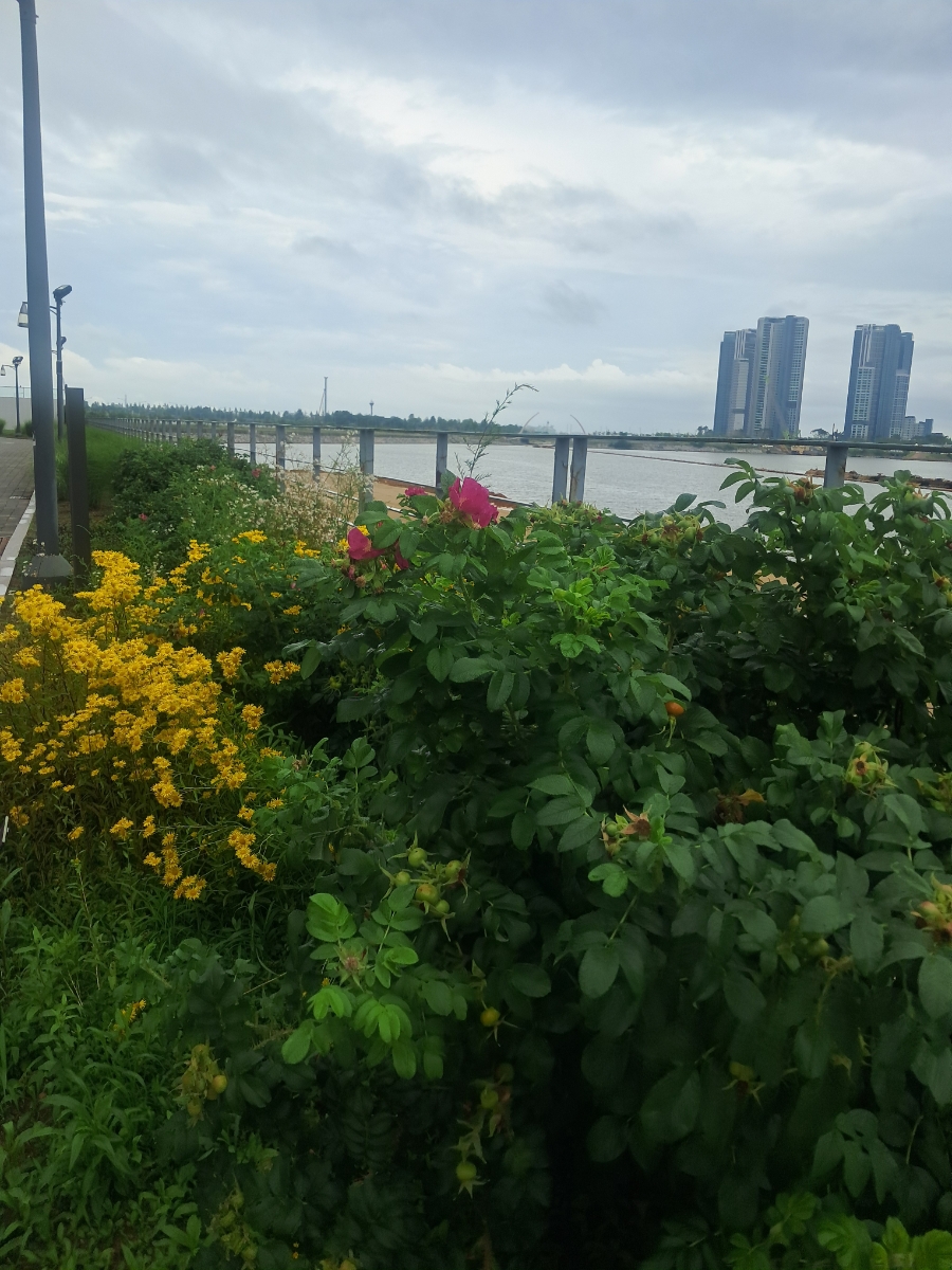 꾸아 송도점 사진 6