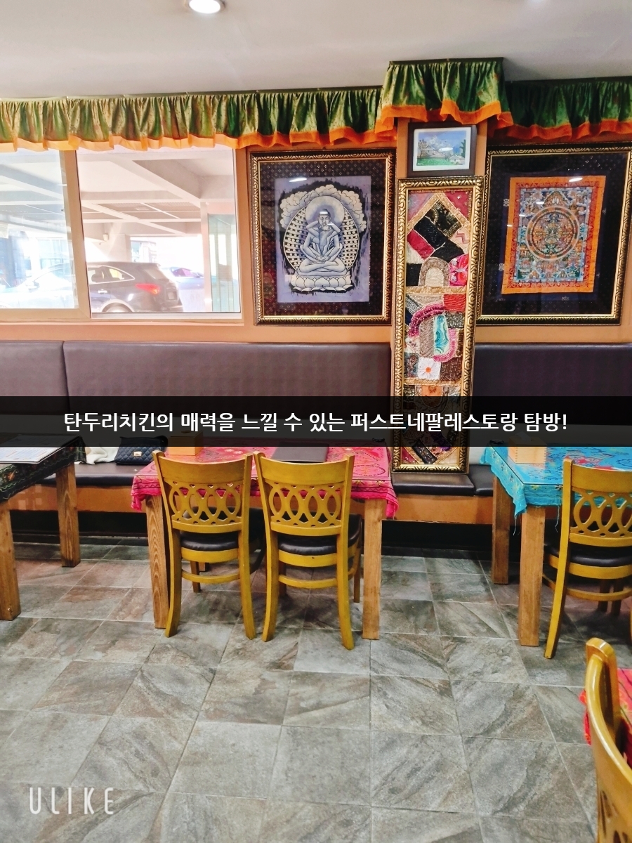 퍼스트네팔레스토랑 사진 2