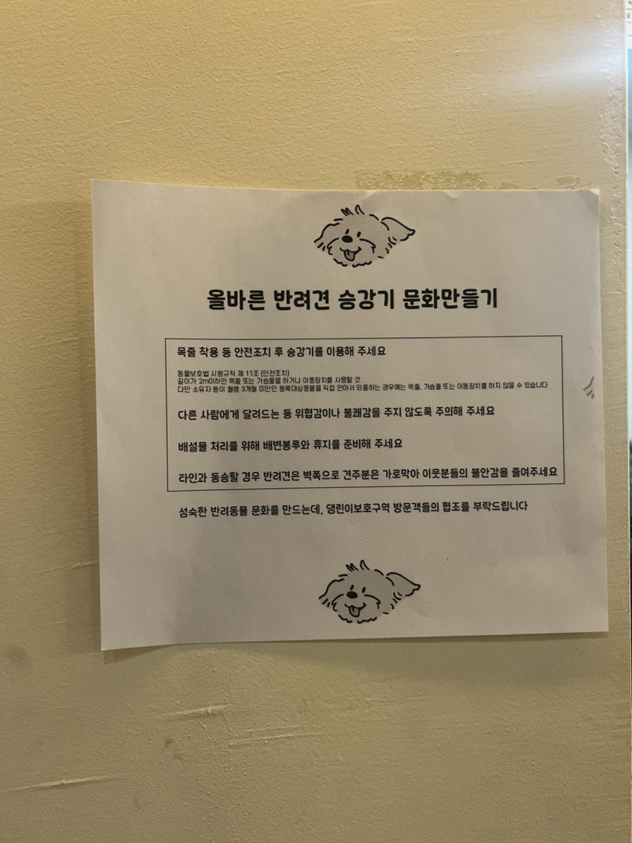 댕린이보호구역 사진 5
