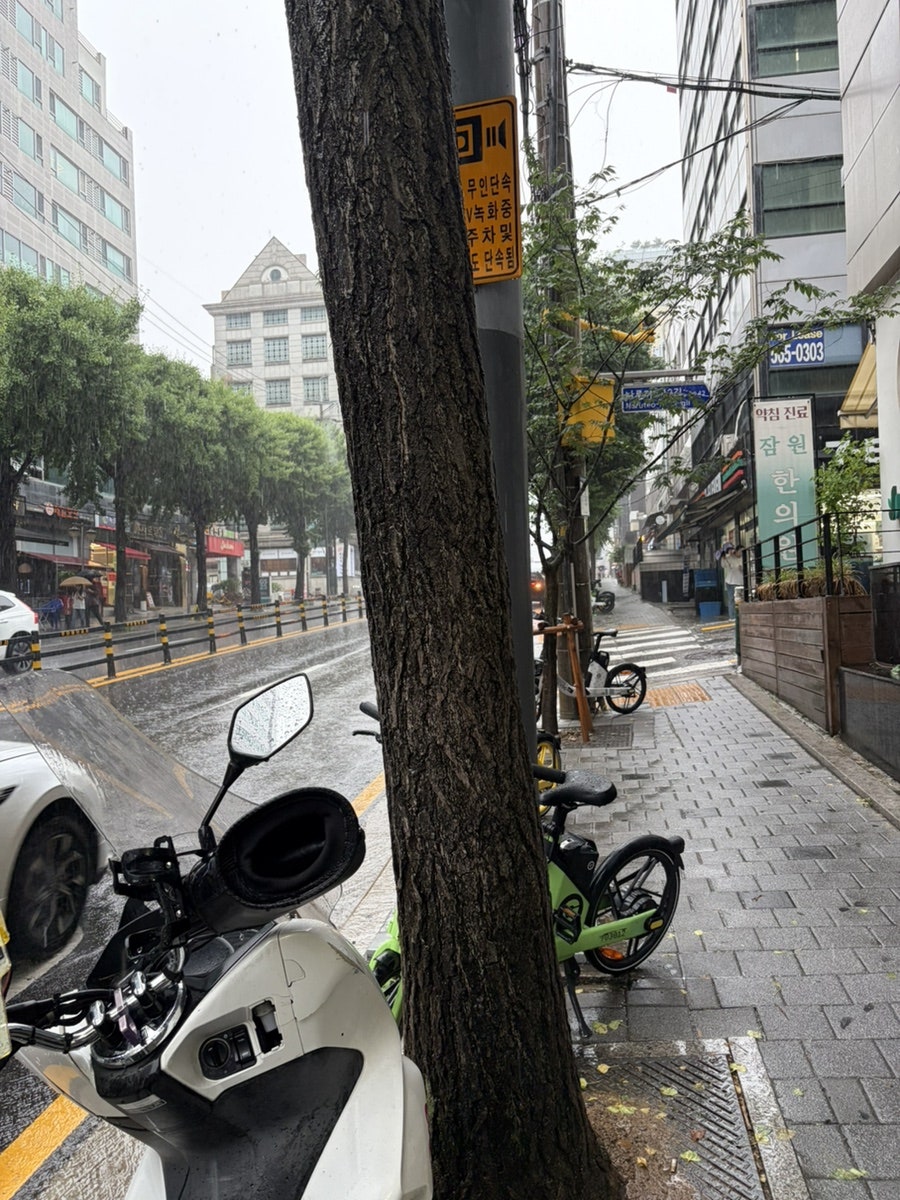 킹무까타 사진 1