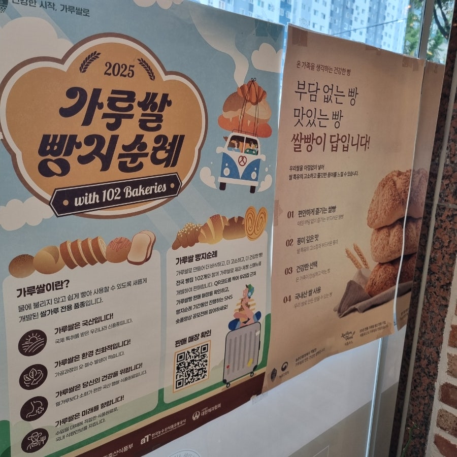 우리밀 사진 6