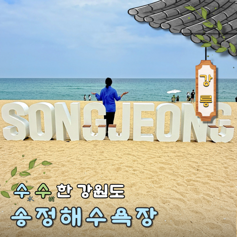 강릉 송정해수욕장 개장일 주차장 소나무숲 바다 산책