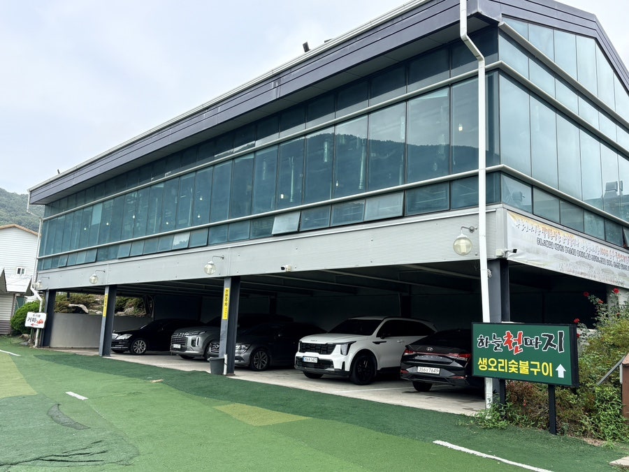 하늘천따지 사진 4