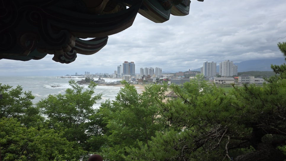 구정막국수 강릉점 사진 3