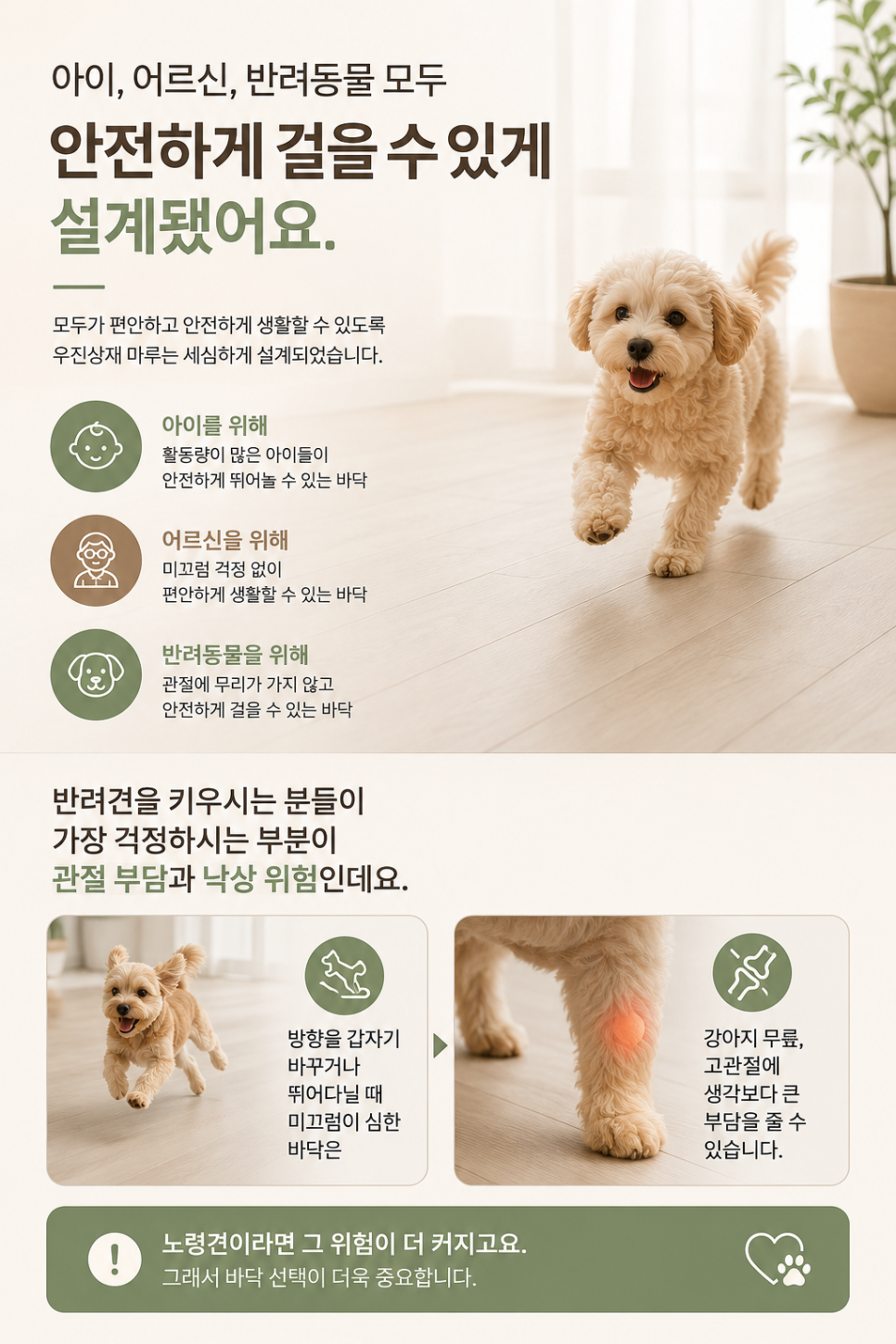 구정 사진 3