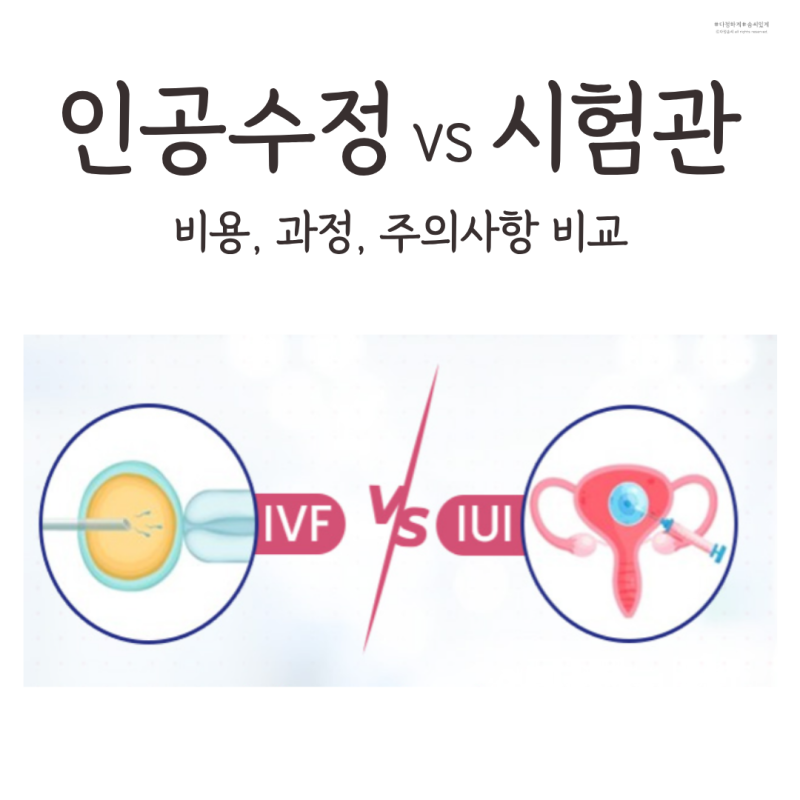 인공수정 시험관 차이? 비용, 과정, 주의사항 비교