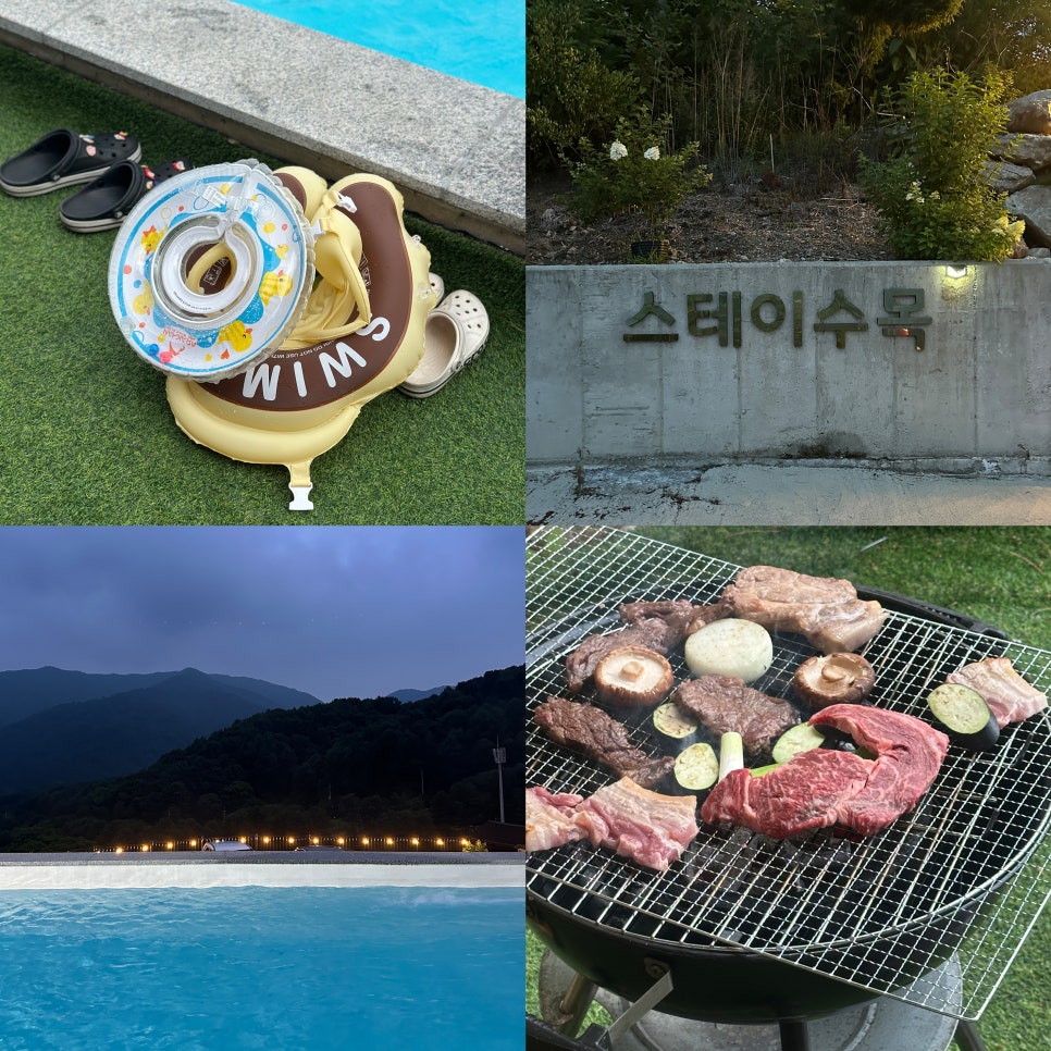 하이몽애견풀빌라펜션 사진 3