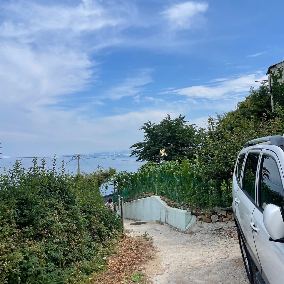돌담길 사진 5