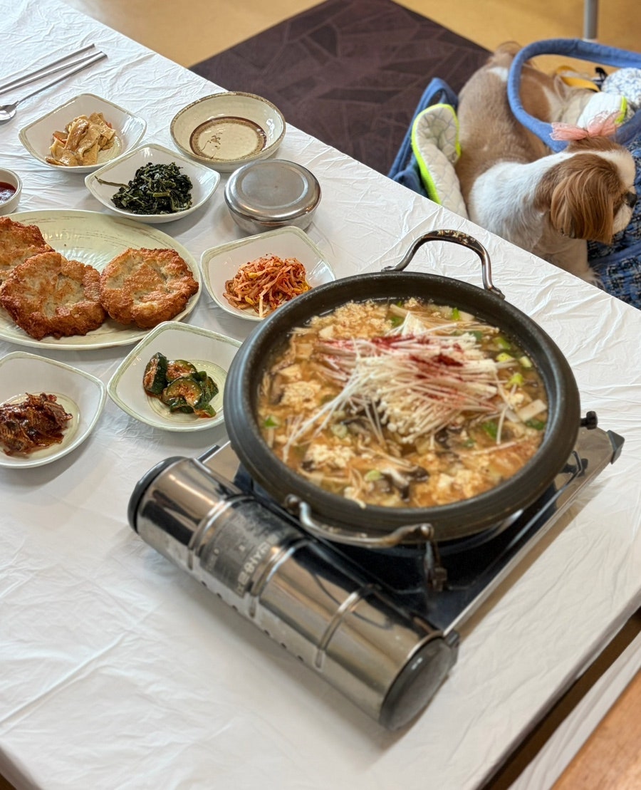 등나무가 사진 6