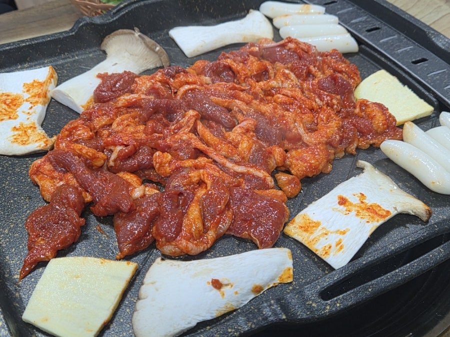 촌닭과오리 사진 6
