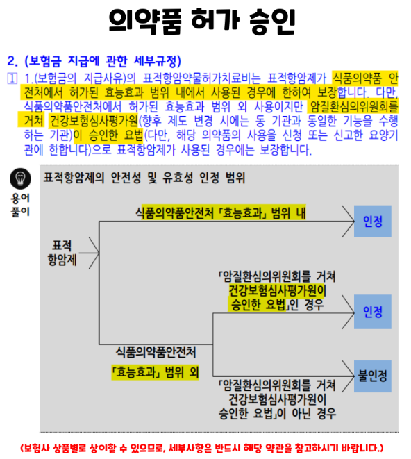 표적항암치료비보다 암주요치료비를 추천하는 이유